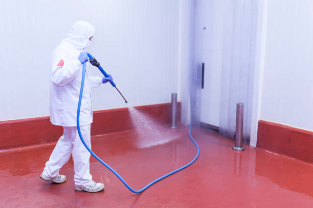 Best Pre-Holiday Cleaning  in Hamburg, NJ