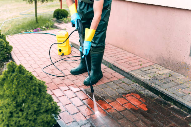 Best Driveway Pressure Washing  in Hamburg, NJ